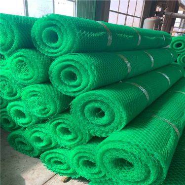 綠色植被網(wǎng) 河池華誼植草網(wǎng)與三維土工網(wǎng)墊的廠家直發(fā)優(yōu)勢(shì)