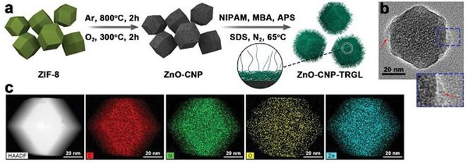 四川大學(xué)程沖、趙長(zhǎng)生團(tuán)隊(duì)開(kāi)發(fā)尺寸可變碳納米材料用于化學(xué)聯(lián)合光熱抗菌合成材料